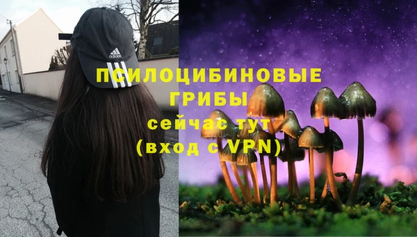 spice Алексеевка
