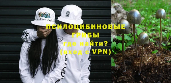 spice Алексеевка