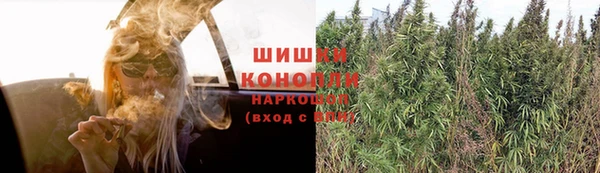 ГАЛЛЮЦИНОГЕННЫЕ ГРИБЫ Алзамай