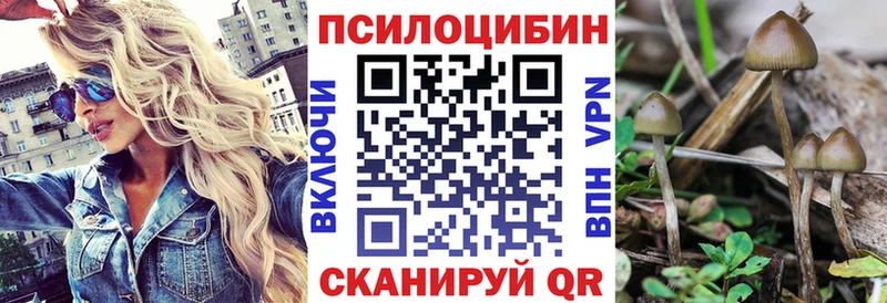 Псилоцибиновые грибы Cubensis Новоалтайск